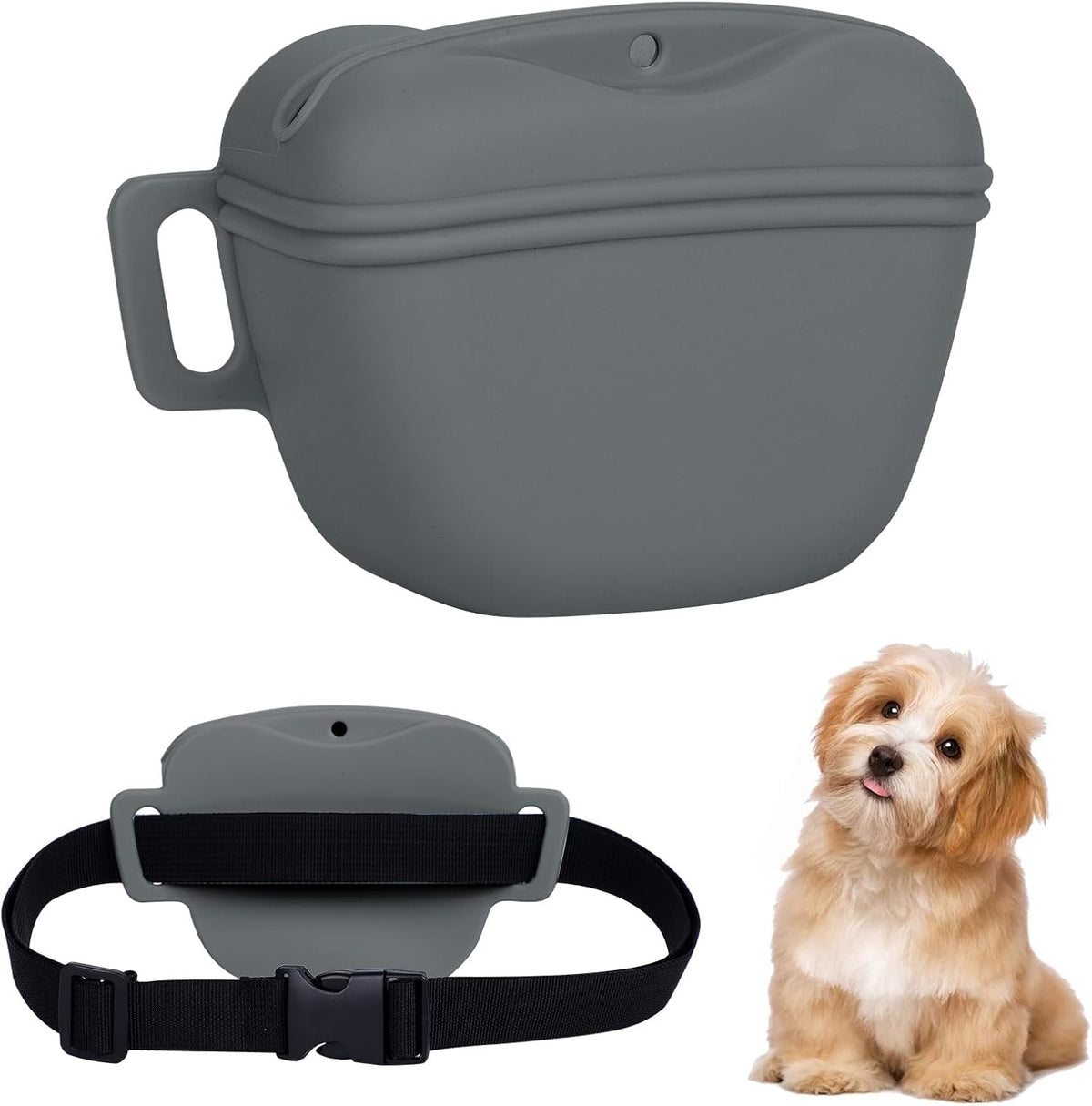 Dog Treat Pouch for Training, Silicone Magnetic Closure Dog Treat Bag Portable Treat Pouch with Belt, Waterproof Small Treat Bag for Dog Training, Dog Walking (Cyan) - PuriLite