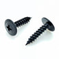 100 Qty #8 x 3/4" Black Phillips Modified Truss Head Wood Screws (BCP1078) - PuriLite