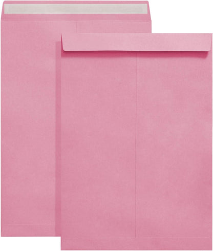Tanshuqin 9" x 12.75" Self-Seal Catalog Envelopes 32lb Kraft Envelopes for Invitation Cards, Organizing and Storage, Pictures, Photos, Documents (100 PCS) - PuriLite