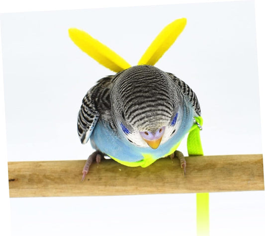 BESPORTBLE 4pcs Bird Training Rope Parrot Harness Leash Pet Bird Fly Train Supply for Small Conure