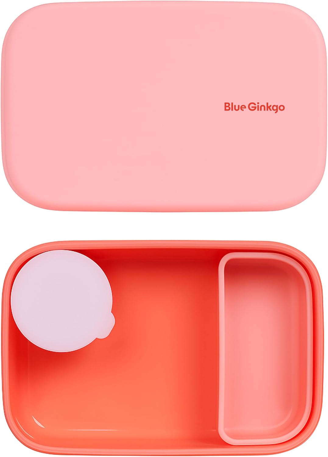 Blue Ginkgo Kids Silicone Lunch Box Set – Durable Heavy-Duty Silicone Bento Box, Microwave, Freezer, Dishwasher Safe – Airtight, BPA Free (Made in Korea, Coral) - PuriLite
