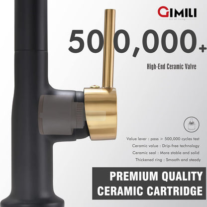 GIMILI Matte Black Kitchen Faucet with LED Light,Single Hole Spring Kitchen Sink Faucet with Pull Down Sprayer - PuriLite