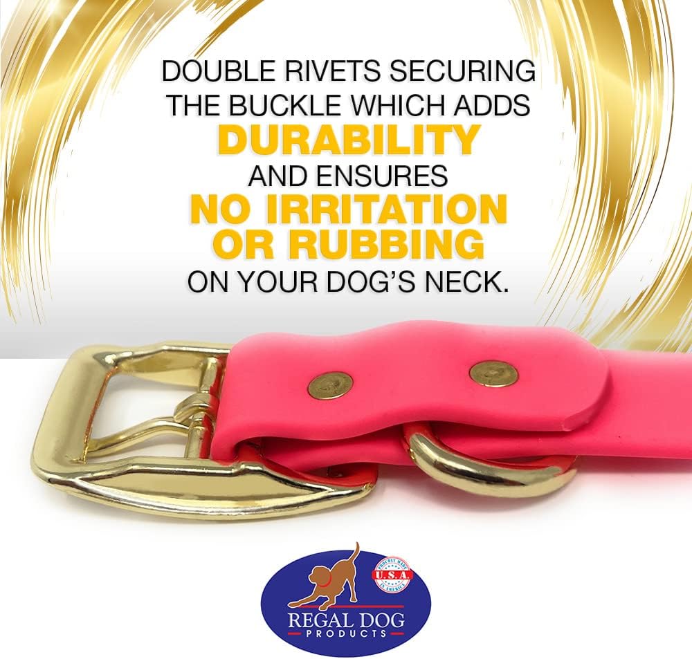Regal Dog Products Medium Black Waterproof Dog Collar with Gold Buckle, Resilient and Durable Materials, Comfortable Design - for Small, Medium, and Large Breed Dogs - PuriLite