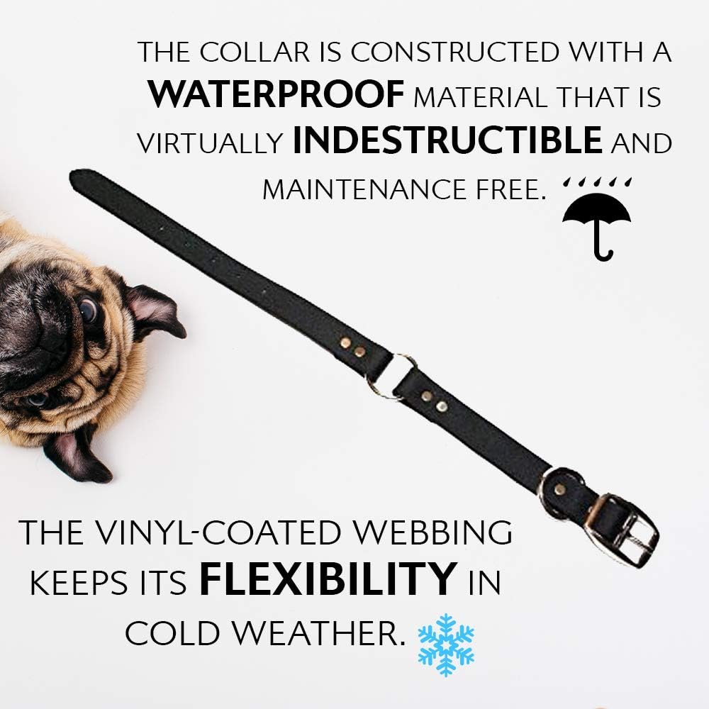 Regal Dog Products Medium Orange Dog Collar with Heavy Duty Double Buckle & D Ring | Vinyl Coated, Custom Fit, Adjustable Biothane Dog Collar Chew Resistant Waterproof Center-Ring Collar for Dogs - PuriLite