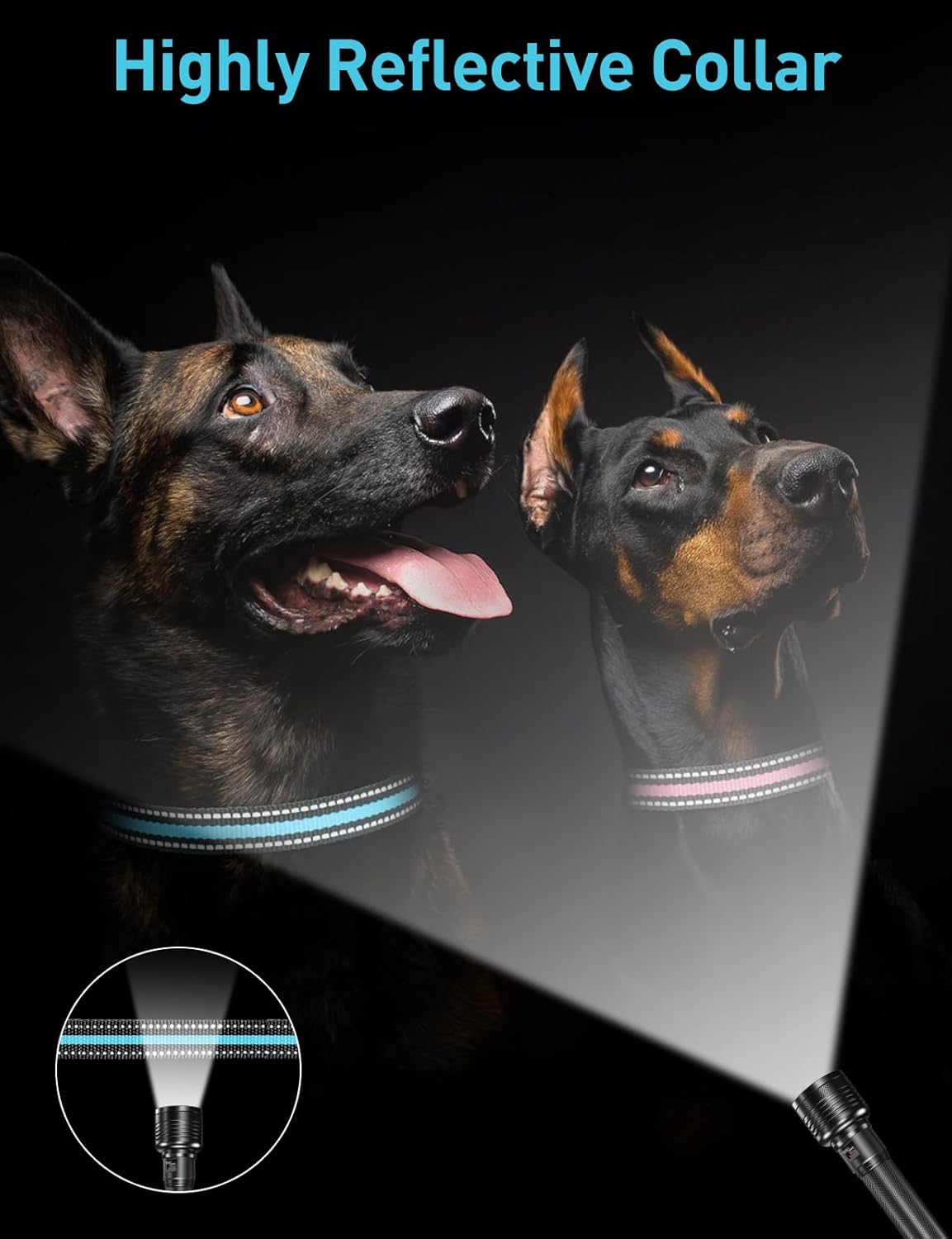 DOGLinsen 2-in-1 Bark and Shock Collar for Dogs, Smart Anti Barking Dog Training Collar with 5 Adjustable Sensitivity, Automatic Bark Collar with Remote, Vibration, Beep, Shock and Automatic - PuriLite