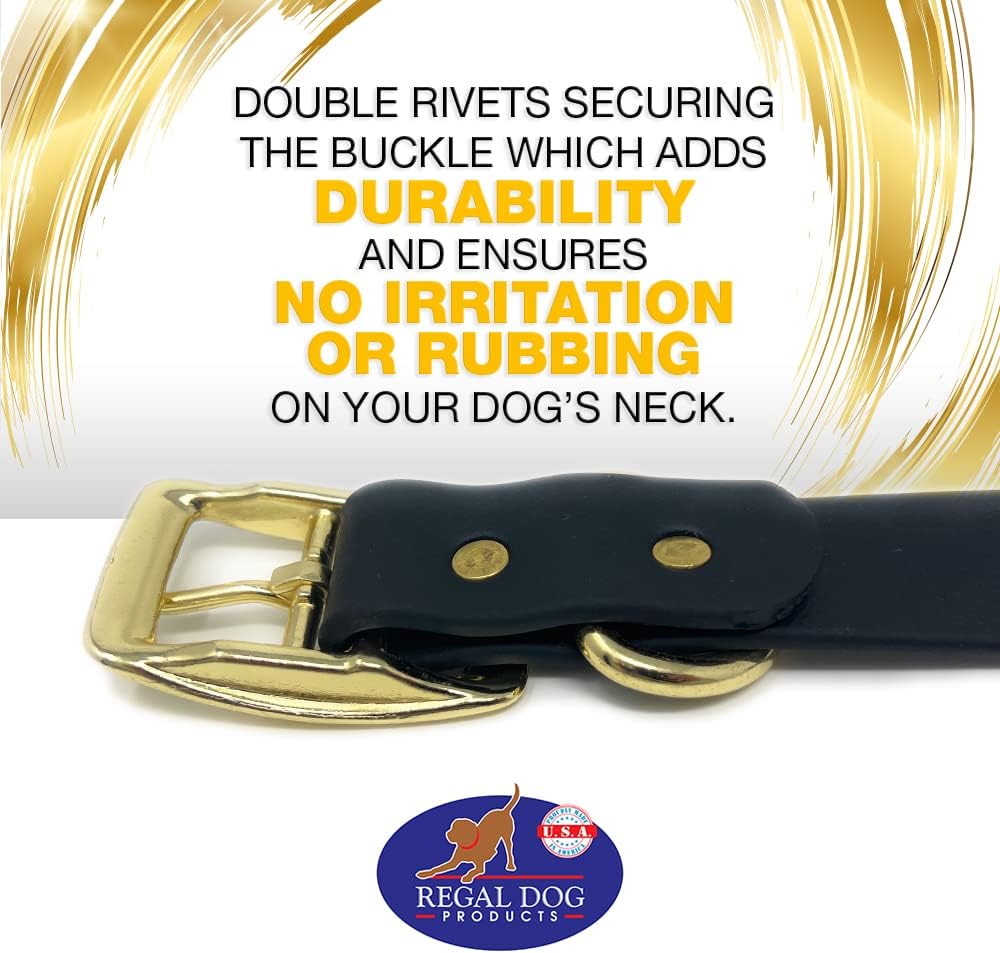 Regal Dog Products Medium Black Waterproof Dog Collar with Gold Buckle, Resilient and Durable Materials, Comfortable Design - for Small, Medium, and Large Breed Dogs - PuriLite