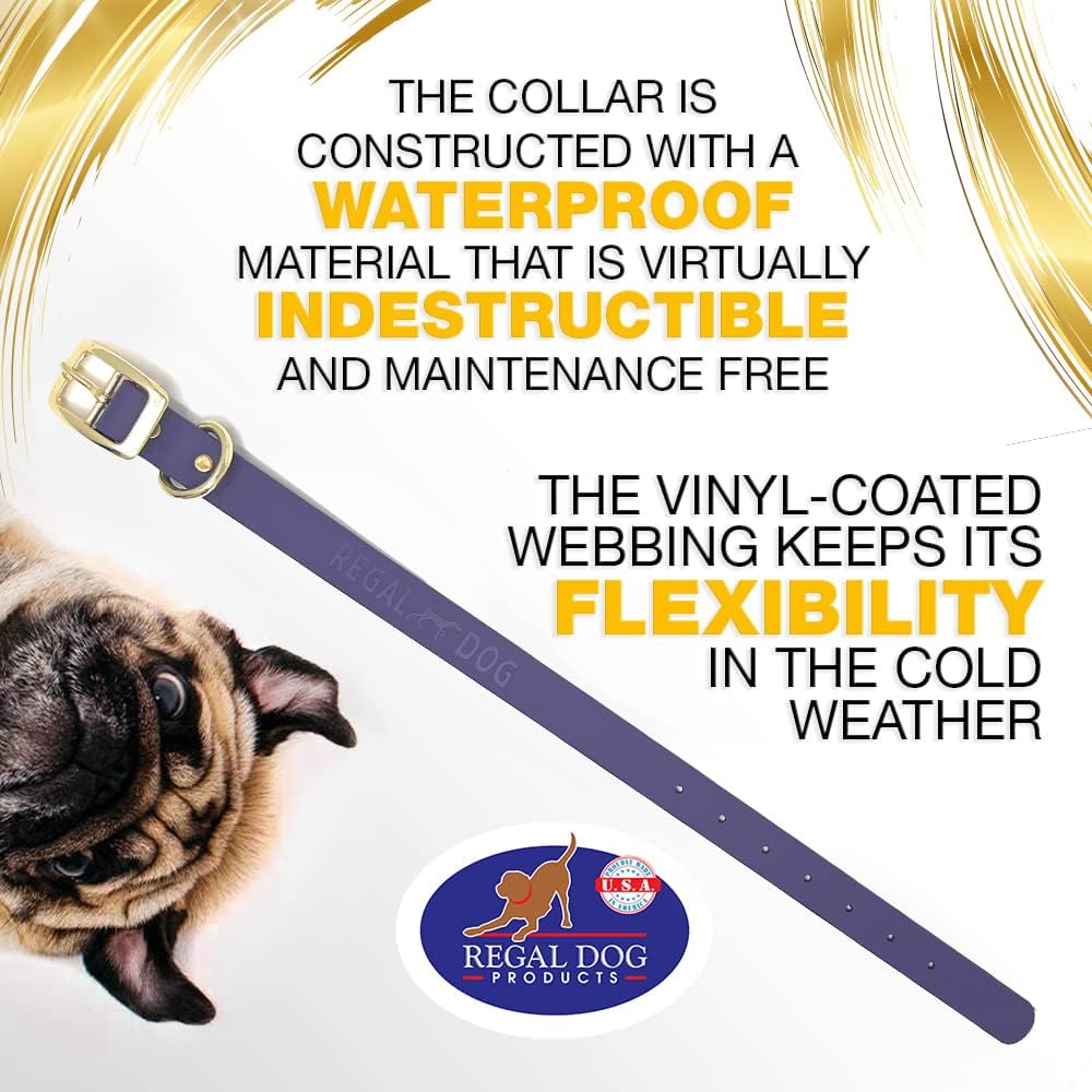 Regal Dog Products Medium Black Waterproof Dog Collar with Gold Buckle, Resilient and Durable Materials, Comfortable Design - for Small, Medium, and Large Breed Dogs - PuriLite