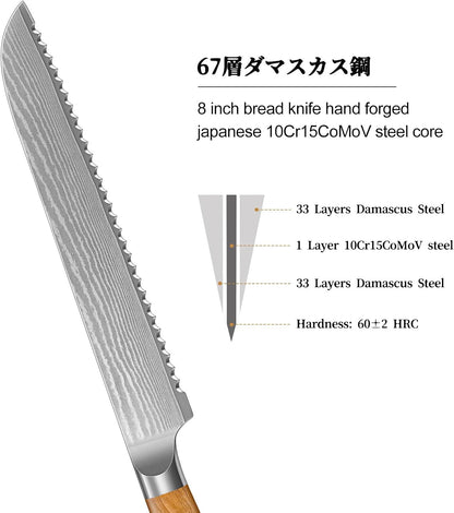 HOSHANHO Damascus Fillet Knife 7 Inch, Professional VG-10 Super Steel Boning Knife, Ultra Sharp Fish Knife with Ergonomic Handle - PuriLite