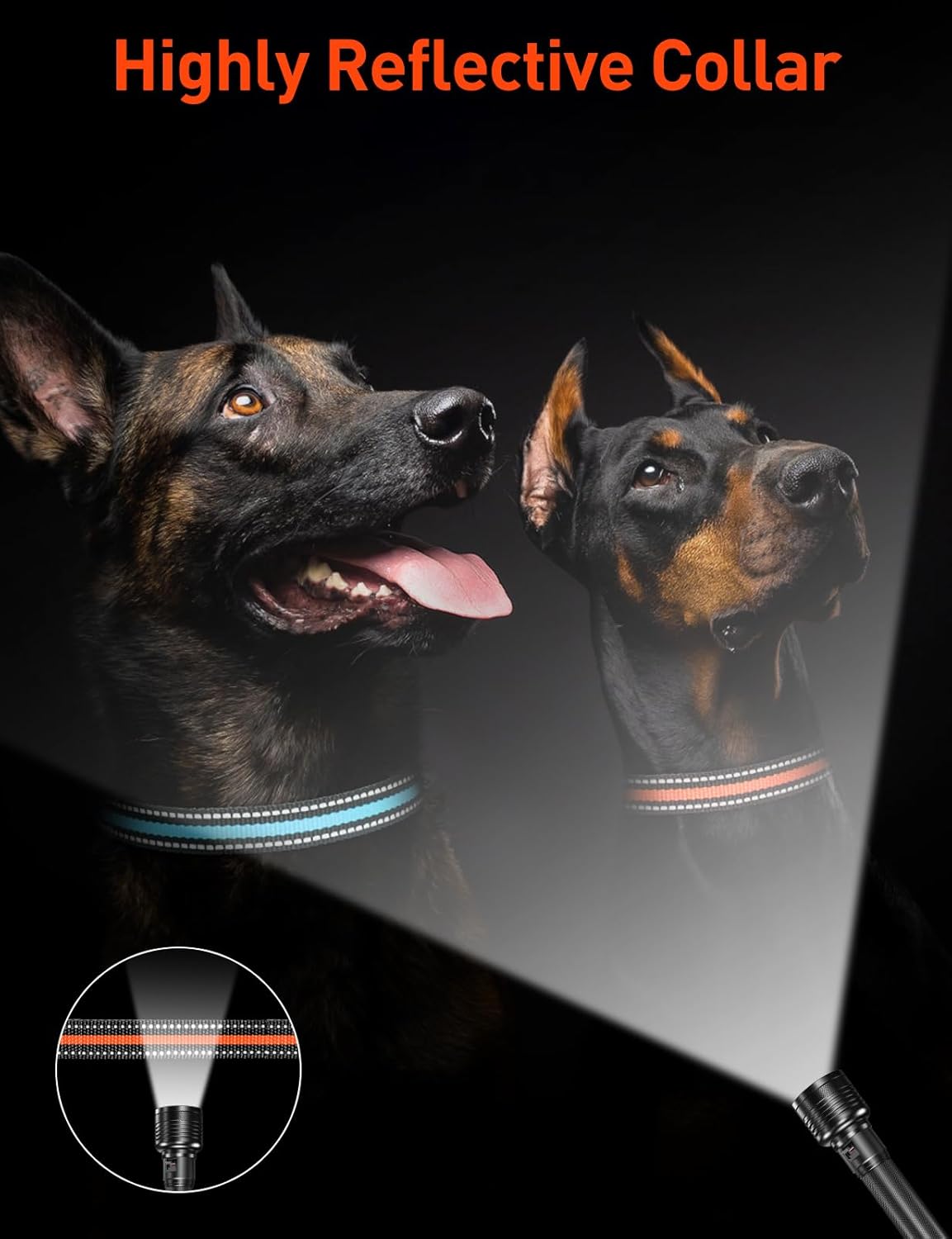 DOGLinsen 2-in-1 Bark and Shock Collar for Dogs, Smart Anti Barking Dog Training Collar with 5 Adjustable Sensitivity, Automatic Bark Collar with Remote, Vibration, Beep, Shock and Automatic - PuriLite