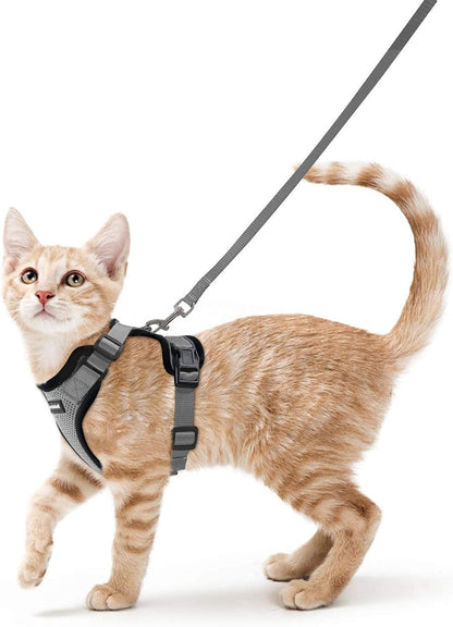 rabbitgoo Cat Harness and Leash for Walking, Escape Proof Soft Adjustable Vest Harnesses for Small Medium Cats, Easy Control Breathable Reflective Strips Jacket, XS, Black - PuriLite