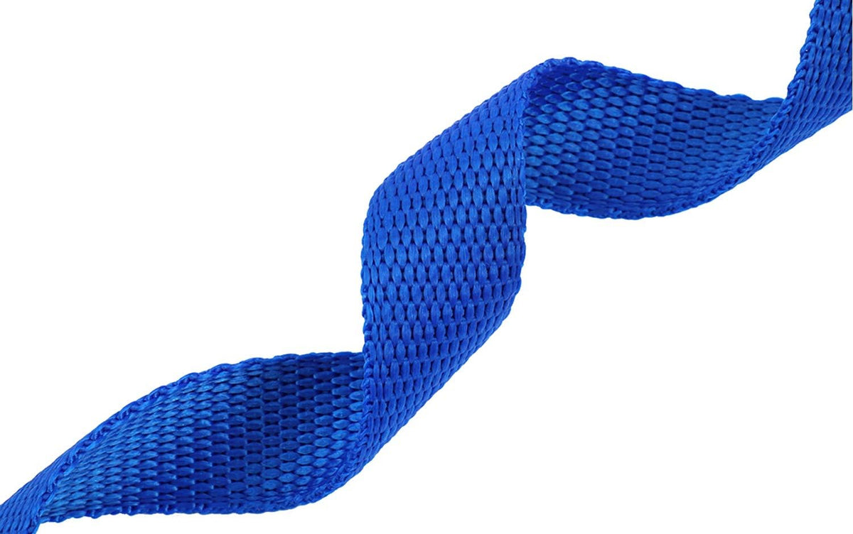 AMAGOOD Dog/Puppy Obedience Recall Training Agility Lead-15 ft 20 ft 30 ft 50 ft Long Leash-for Dog Training,Tie Out,Play,Safety,Camping (15 feet, Black) - PuriLite