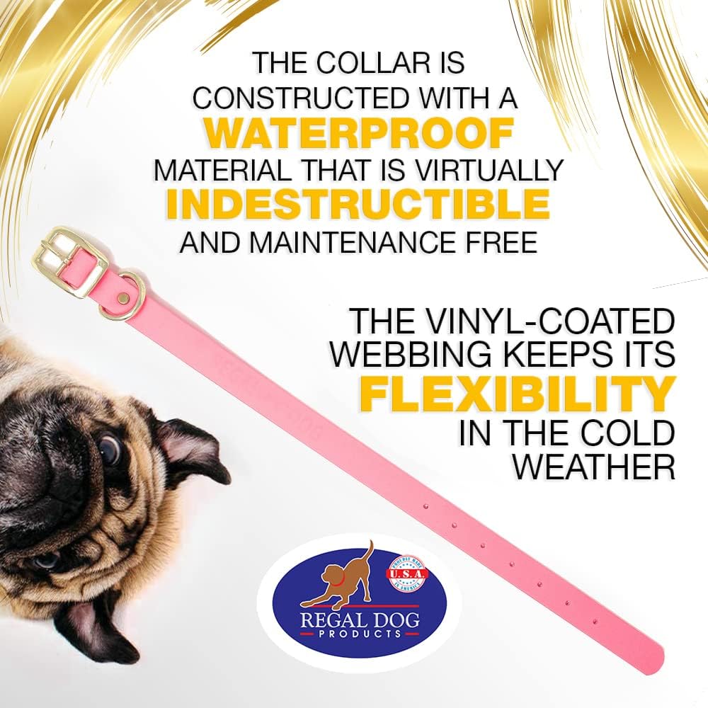 Regal Dog Products Medium Black Waterproof Dog Collar with Gold Buckle, Resilient and Durable Materials, Comfortable Design - for Small, Medium, and Large Breed Dogs - PuriLite