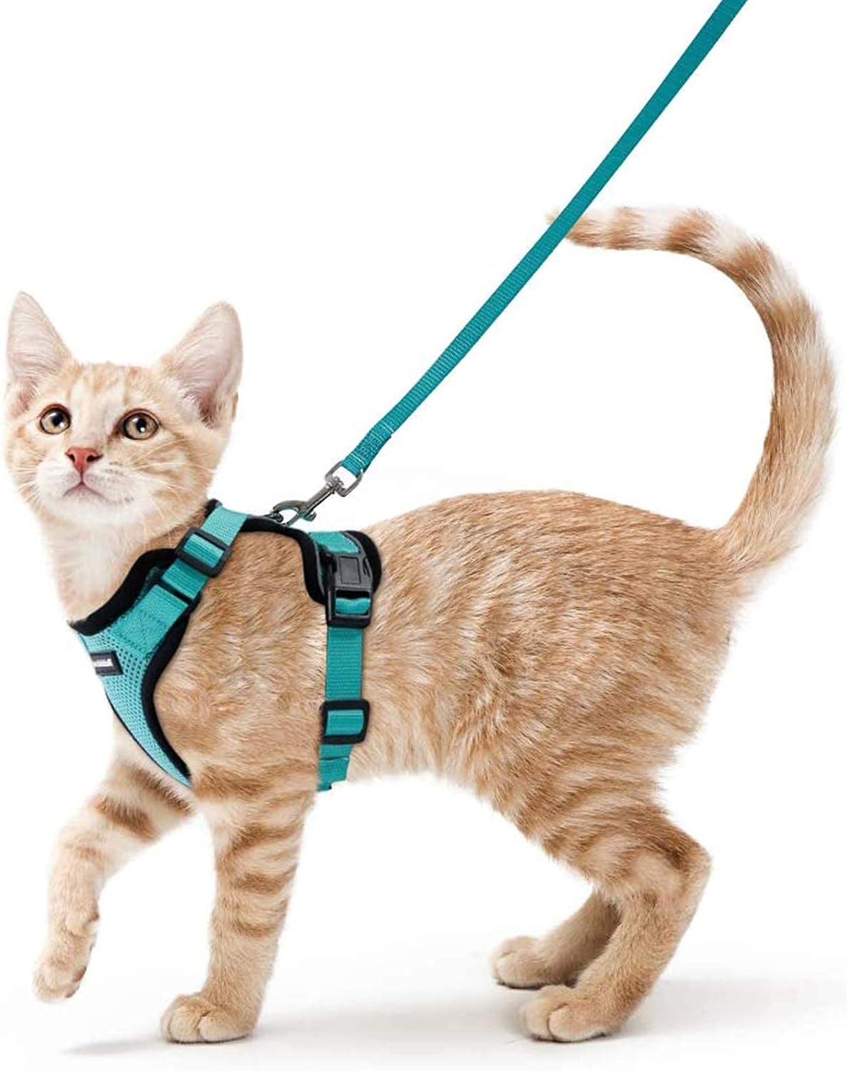 rabbitgoo Cat Harness and Leash for Walking, Escape Proof Soft Adjustable Vest Harnesses for Small Medium Cats, Easy Control Breathable Reflective Strips Jacket, XS, Black - PuriLite