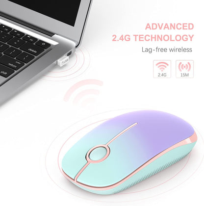 Wireless Mouse, Vssoplor 2.4G Slim Portable Computer Mice with Nano Receiver for Notebook, PC, Laptop, Computer (Black and Gray) - PuriLite