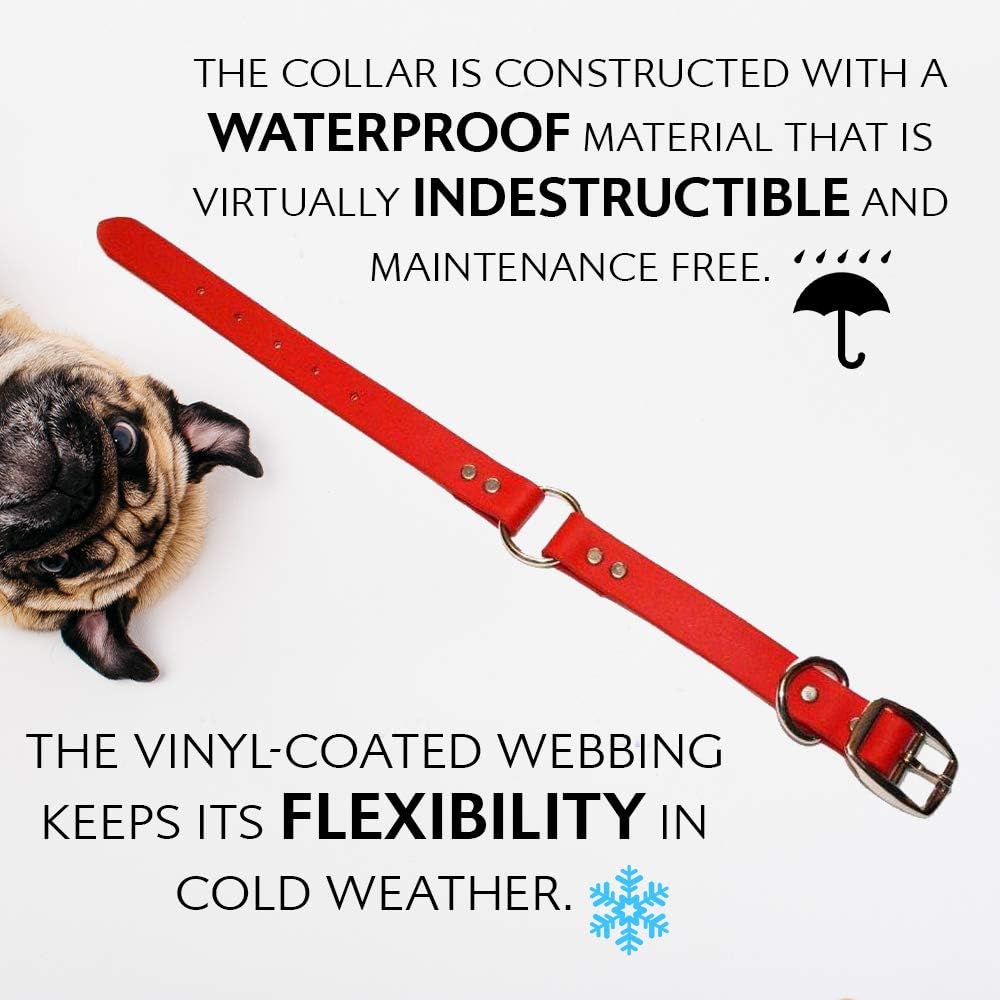 Regal Dog Products Medium Orange Dog Collar with Heavy Duty Double Buckle & D Ring | Vinyl Coated, Custom Fit, Adjustable Biothane Dog Collar Chew Resistant Waterproof Center-Ring Collar for Dogs - PuriLite