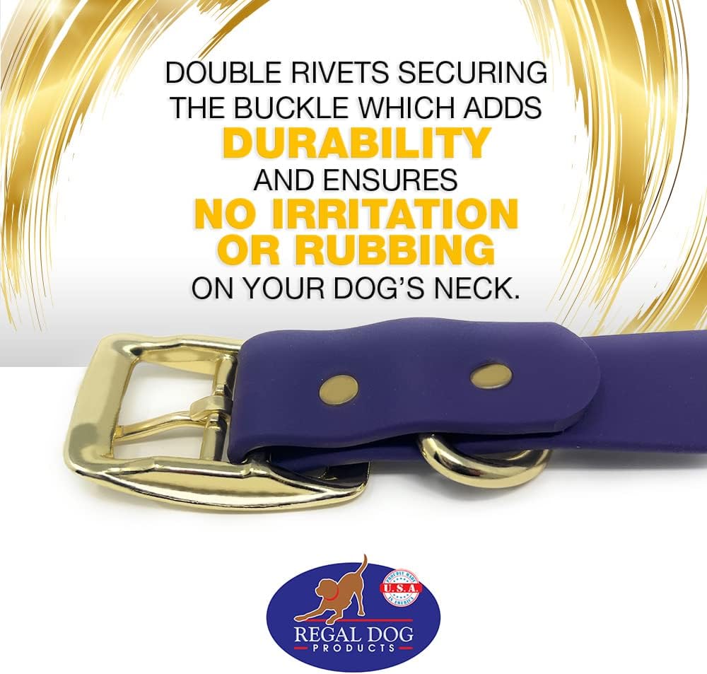 Regal Dog Products Medium Black Waterproof Dog Collar with Gold Buckle, Resilient and Durable Materials, Comfortable Design - for Small, Medium, and Large Breed Dogs - PuriLite