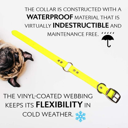 Regal Dog Products Medium Orange Dog Collar with Heavy Duty Double Buckle & D Ring | Vinyl Coated, Custom Fit, Adjustable Biothane Dog Collar Chew Resistant Waterproof Center-Ring Collar for Dogs - PuriLite