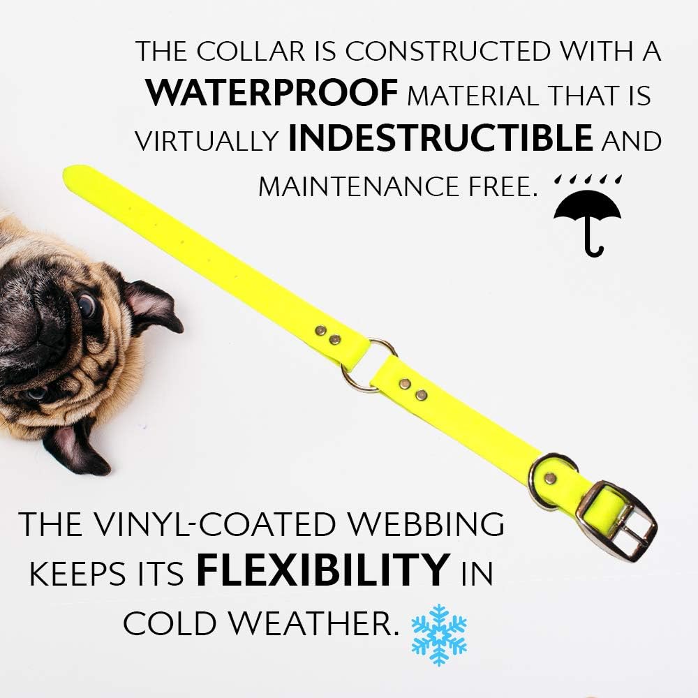 Regal Dog Products Small Orange Waterproof Dog Collar and Leash Set - Vinyl Coated, Biothane Puppy Pet Training Collar with Heavy Duty Center Ring & 5'ft Leash - Other Sizes for Medium & Large Dogs - PuriLite