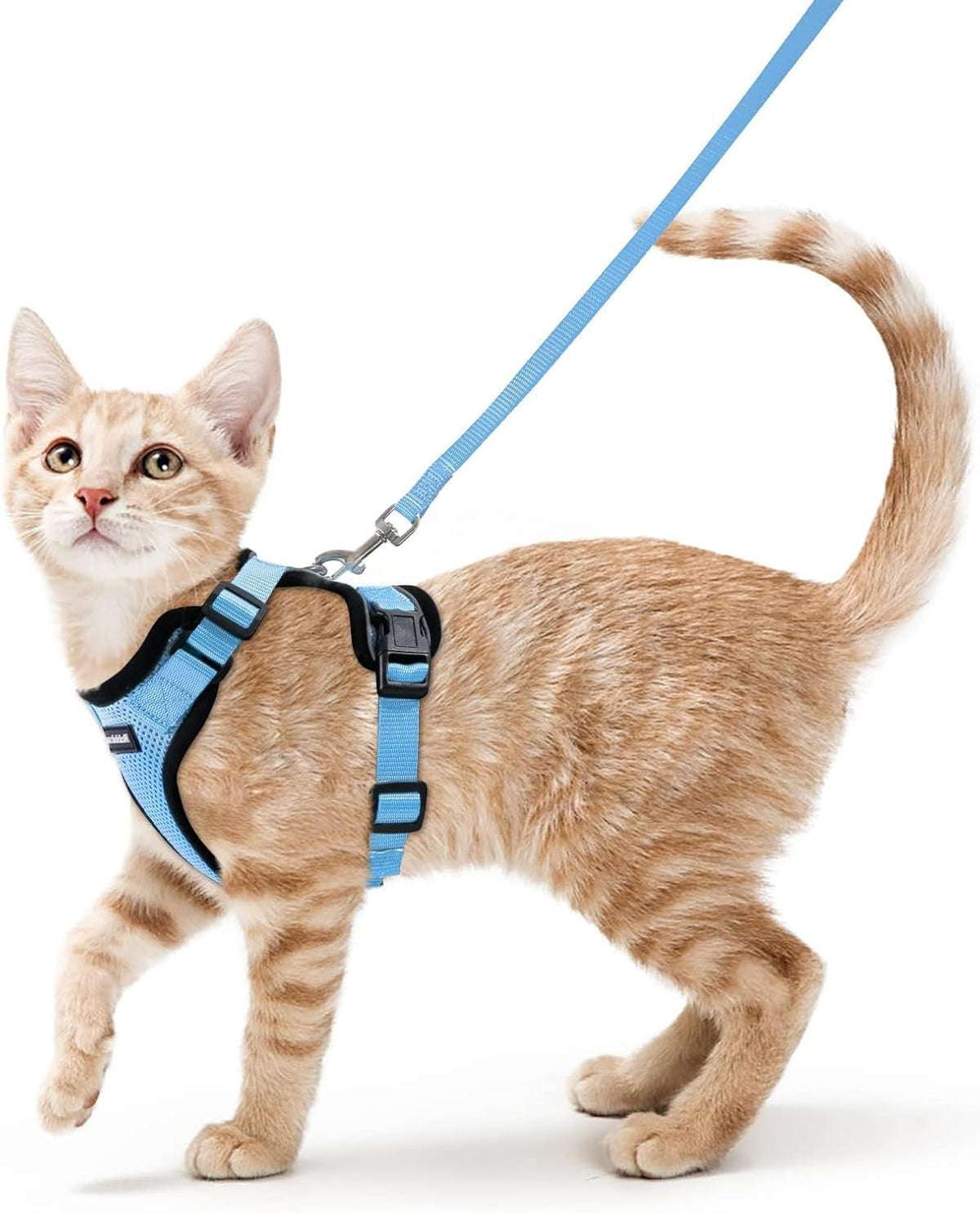 rabbitgoo Cat Harness and Leash for Walking, Escape Proof Soft Adjustable Vest Harnesses for Small Medium Cats, Easy Control Breathable Reflective Strips Jacket, XS, Black - PuriLite