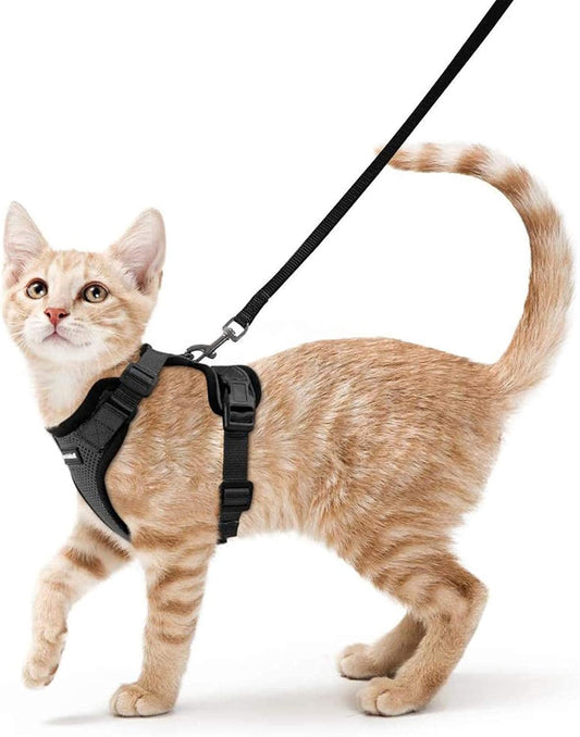 rabbitgoo Cat Harness and Leash for Walking, Escape Proof Soft Adjustable Vest Harnesses for Small Medium Cats, Easy Control Breathable Reflective Strips Jacket, XS, Black - PuriLite