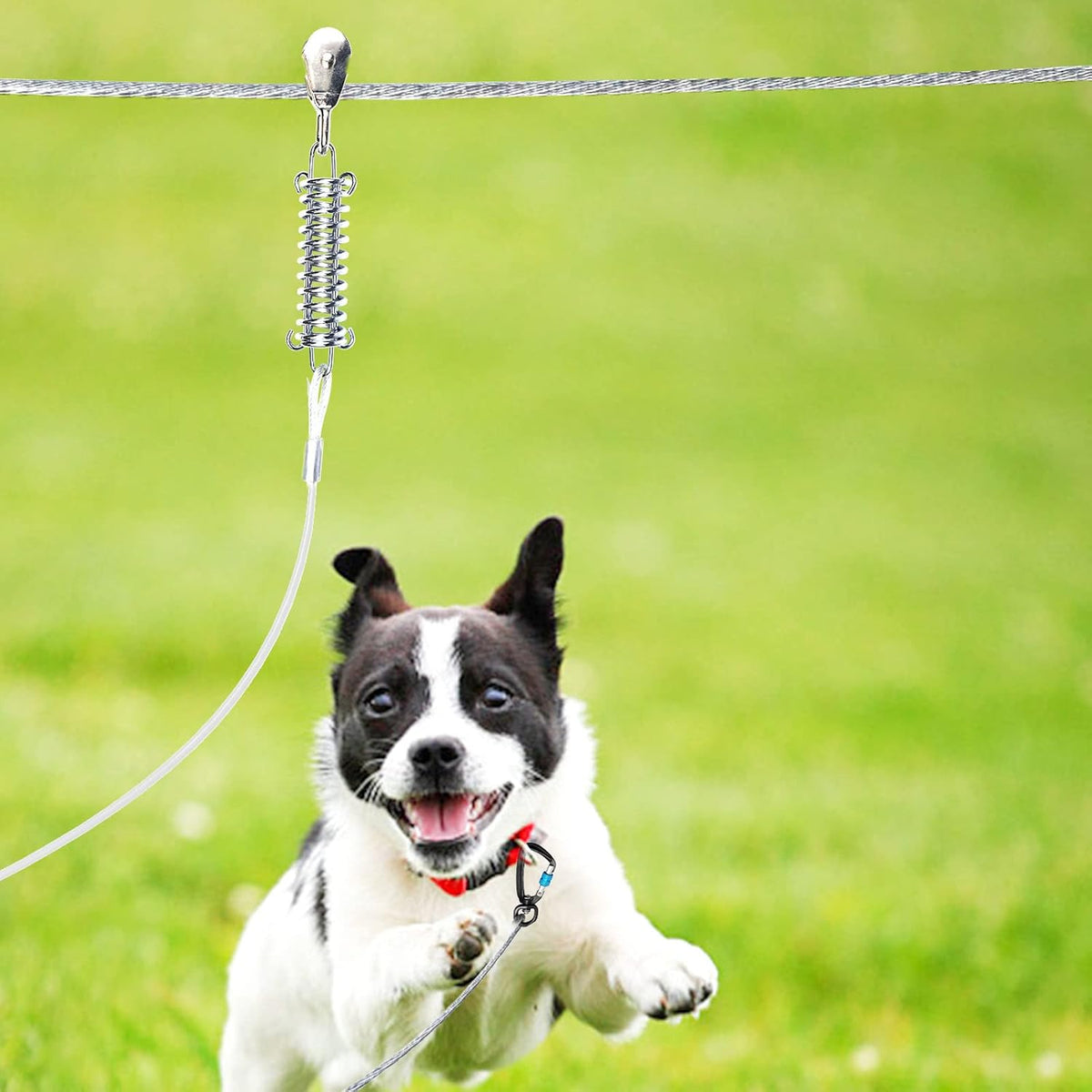 Snagle Paw Dog Tie Out Runner for Yard,Trolley System for Large Dogs,Heavy Duty Dog Run Cable with 10ft Pulley Runner Line for Dogs Up to 125lbs,Yard or Camping,75ft - PuriLite