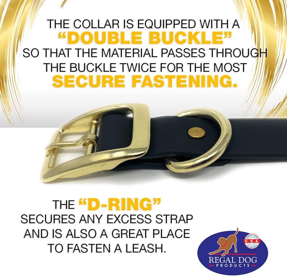 Regal Dog Products Medium Black Waterproof Dog Collar with Gold Buckle, Resilient and Durable Materials, Comfortable Design - for Small, Medium, and Large Breed Dogs - PuriLite