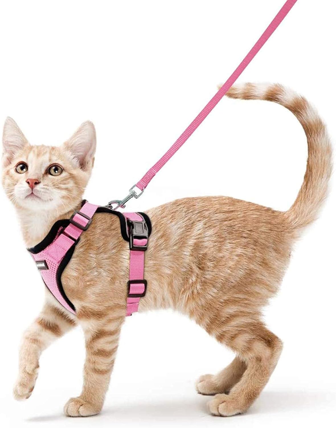 rabbitgoo Cat Harness and Leash for Walking, Escape Proof Soft Adjustable Vest Harnesses for Small Medium Cats, Easy Control Breathable Reflective Strips Jacket, XS, Black - PuriLite