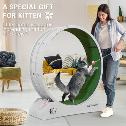 axGear Cat Treadmill Runner Training Wheel Pet Exercise Toy Indoor Teaser