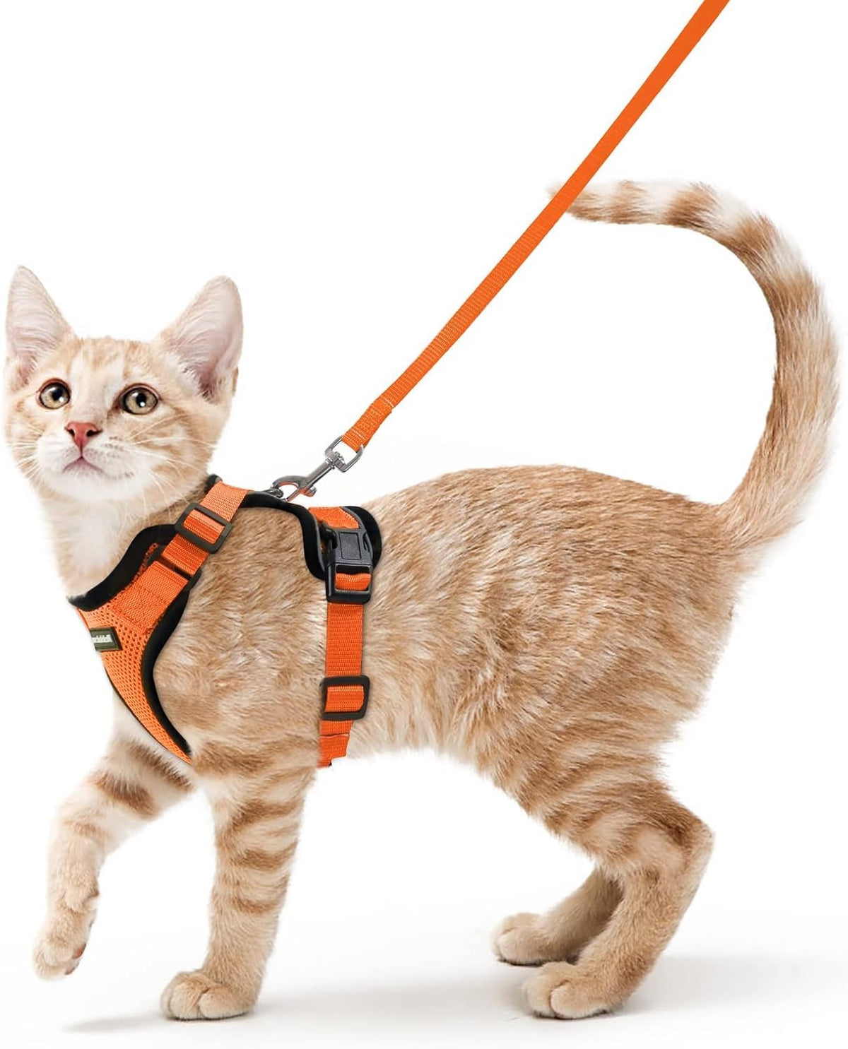 rabbitgoo Cat Harness and Leash for Walking, Escape Proof Soft Adjustable Vest Harnesses for Small Medium Cats, Easy Control Breathable Reflective Strips Jacket, XS, Black - PuriLite