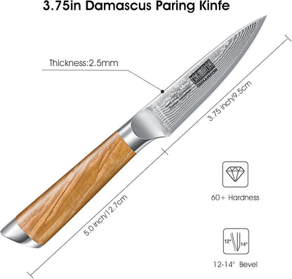 HOSHANHO Damascus Fillet Knife 7 Inch, Professional VG-10 Super Steel Boning Knife, Ultra Sharp Fish Knife with Ergonomic Handle - PuriLite