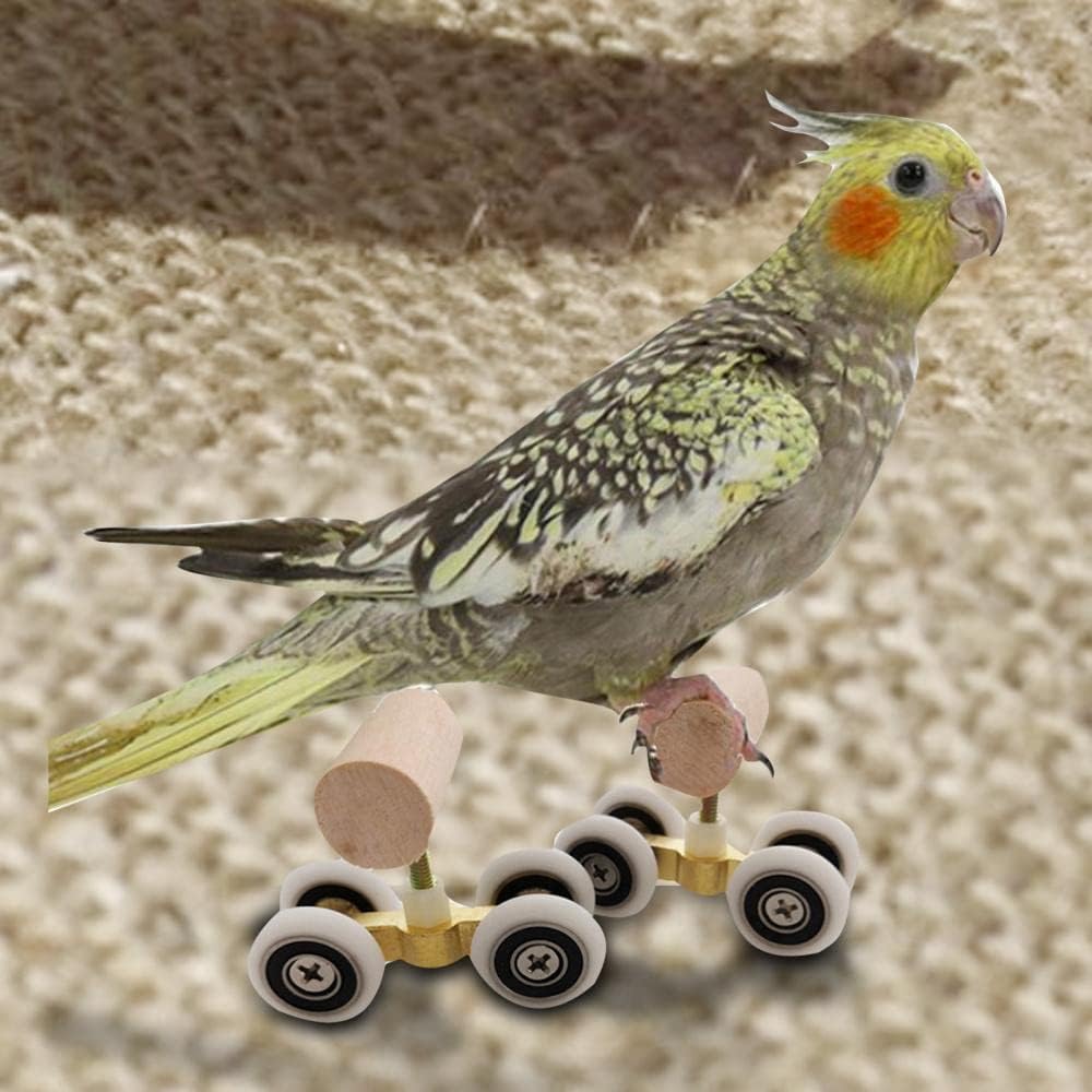LEEVUS Bird Toys Parrot Mini Roller Skates Double Row Toy Pet Intelligence Training Supplies 2Pcs S