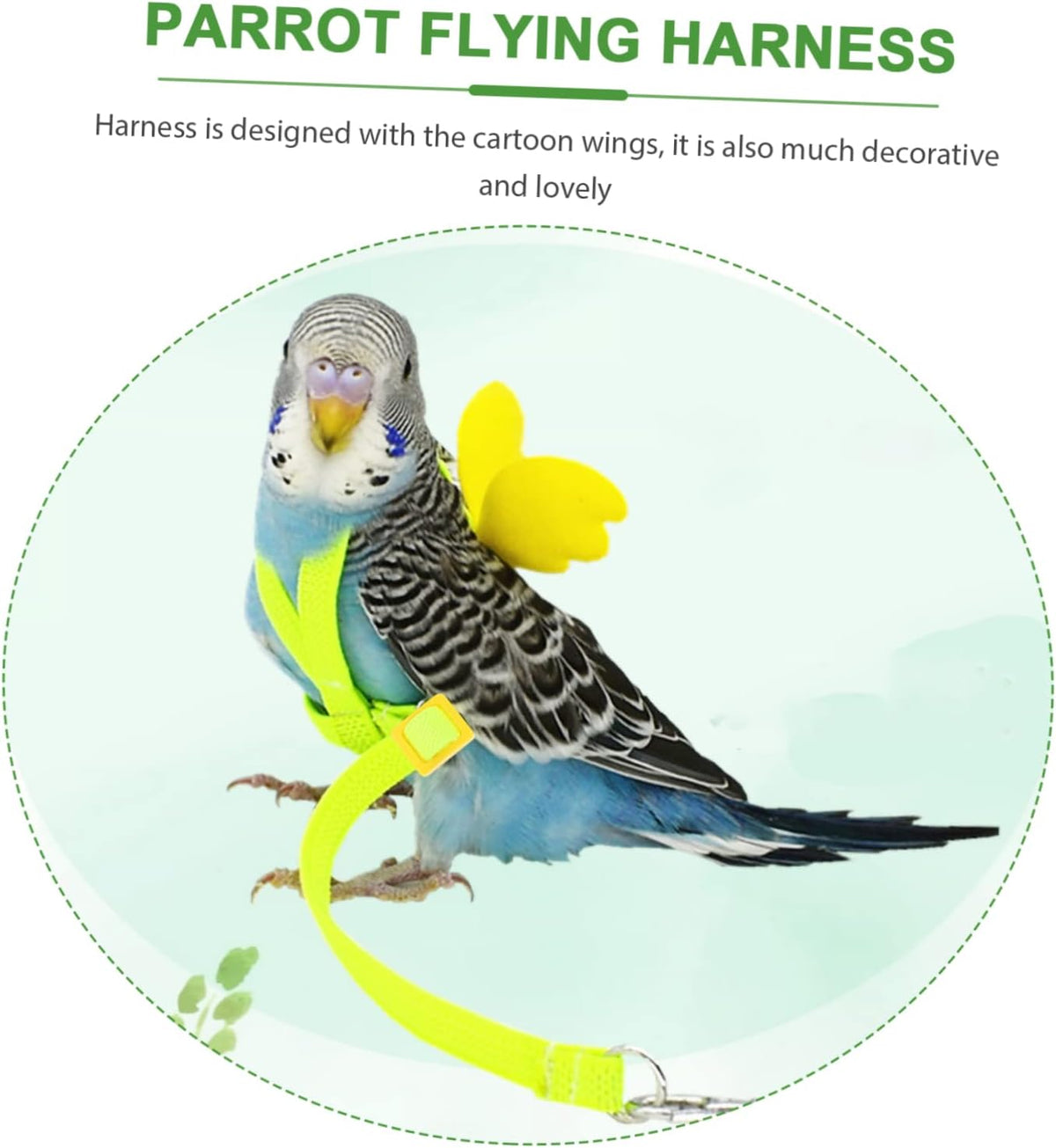BESPORTBLE 4pcs Bird Training Rope Parrot Harness Leash Pet Bird Fly Train Supply for Small Conure