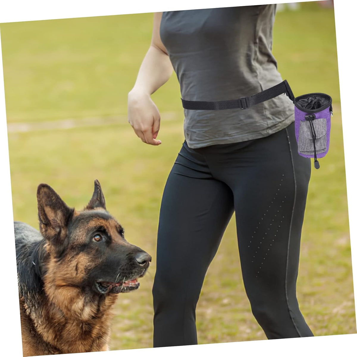 Kisangel Convenient Dog Treat Bag Portable Training Pouch for Dog Snacks Outdoor Walking Accessory - PuriLite