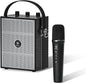 Wireless Voice Amplifier with Handheld Microphone, Portable Bluetooth Speaker Microphones with Teachers & Events, Wireless Karaoke Mic for Singing, PA System with Echo & Sound Effects S98 Pro - PuriLite