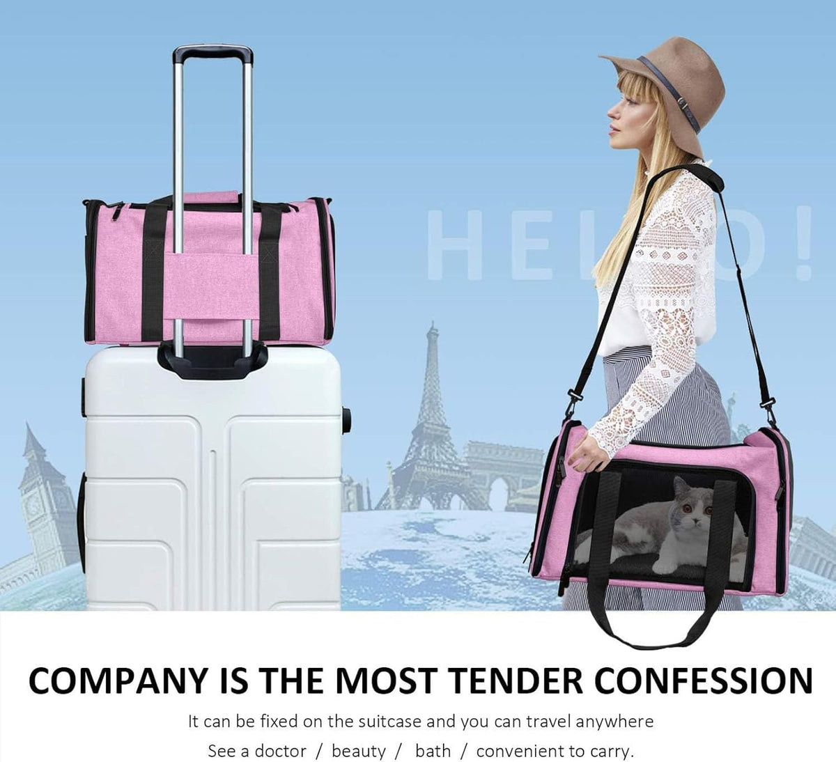 SFBAIHEN Cat Carriers Dog Carrier Pet Carrier for Small Medium Cats Dogs Puppies up to 15 Lbs, TSA Airline Approved Small Dog Carrier Soft Sided, Collapsible Waterproof Travel Puppy Carrier (Pink) - PuriLite