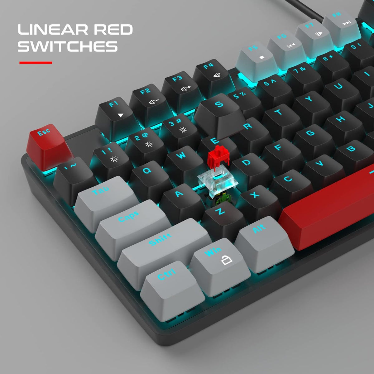 Mechanical Gaming Keyboard, 104 Keys White Backlit Mechanical Keyboards with Red Switches & Double-Shot Keycaps, MageGee Wired Ergonomic Computer Keyboard for Desktop, PC Gamers (White & Blue) - PuriLite