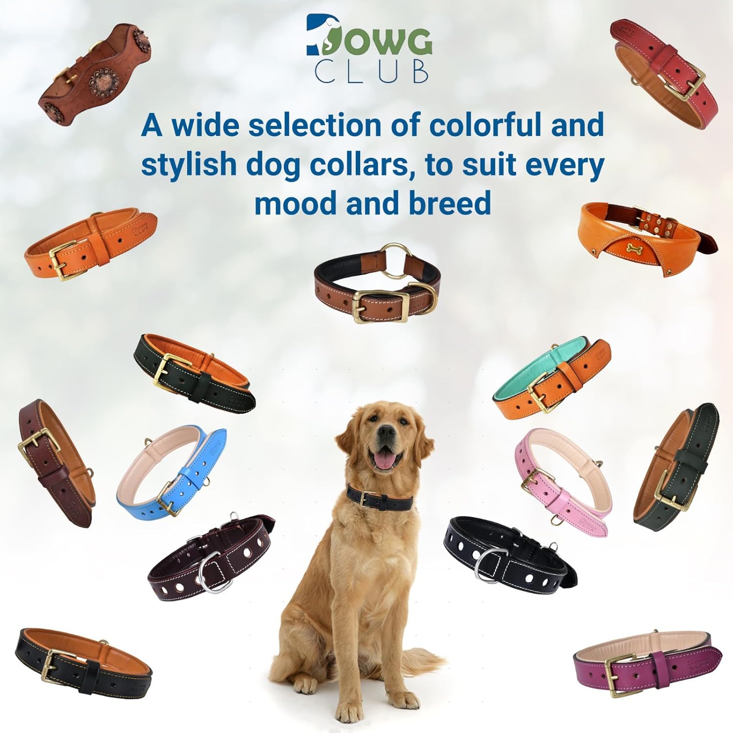 DowgClub | Genuine Leather Dog Collar | Full Grain, Heavy Duty | Comfortable, Strong | Best for Pups, Small, Medium & Large Breeds | Pink, Brown, Black, Tan - PuriLite