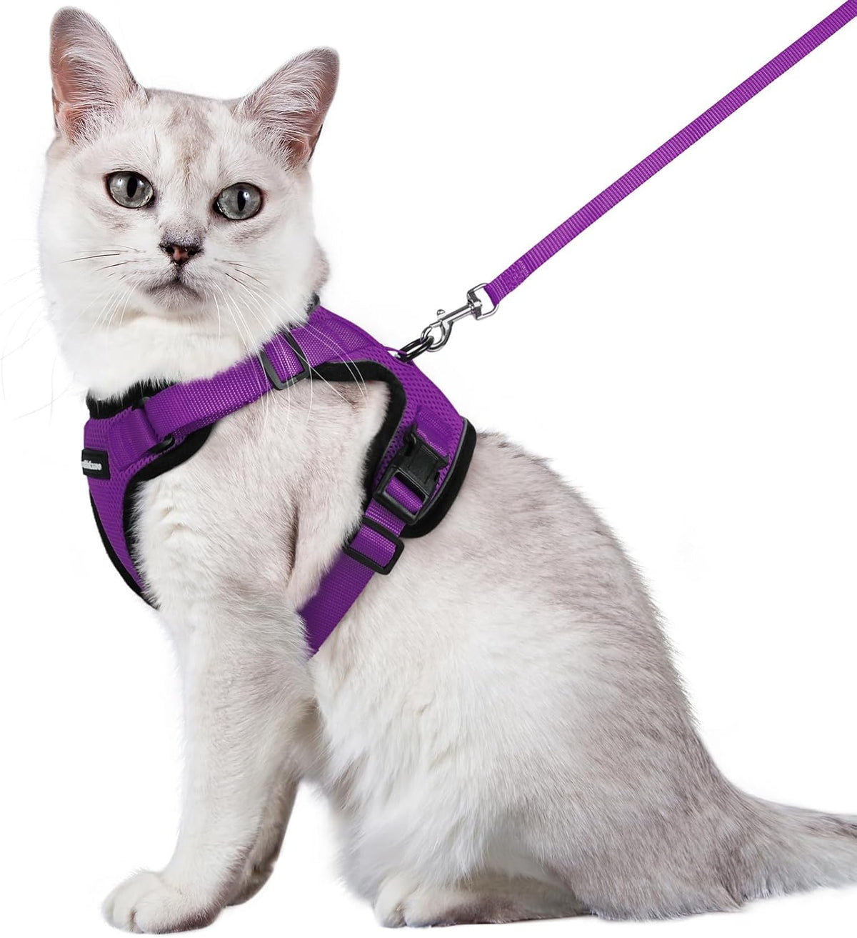 rabbitgoo Cat Harness and Leash for Walking, Escape Proof Soft Adjustable Vest Harnesses for Small Medium Cats, Easy Control Breathable Reflective Strips Jacket, XS, Black - PuriLite