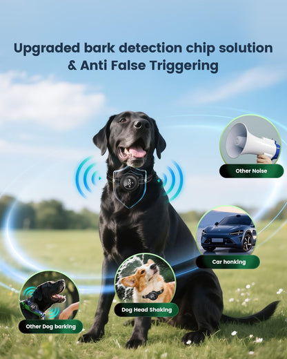 2-in-1 Dog Training Collar with Remote,Smart Anti Barking Device for Dog,Waterproof Dog Collar with 5 Adjustable Sensitivity for All Breeds,Rechargeable - PuriLite