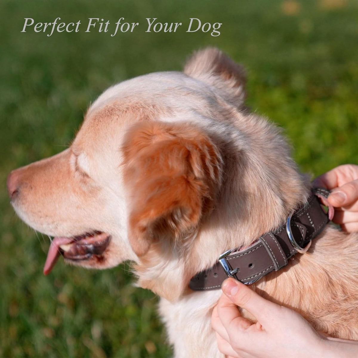 TORRUNA Soft Leather Dog Collar | Dog Collars for Small, Medium and Large Dogs | Durable Heavy Duty Dog Collars - PuriLite
