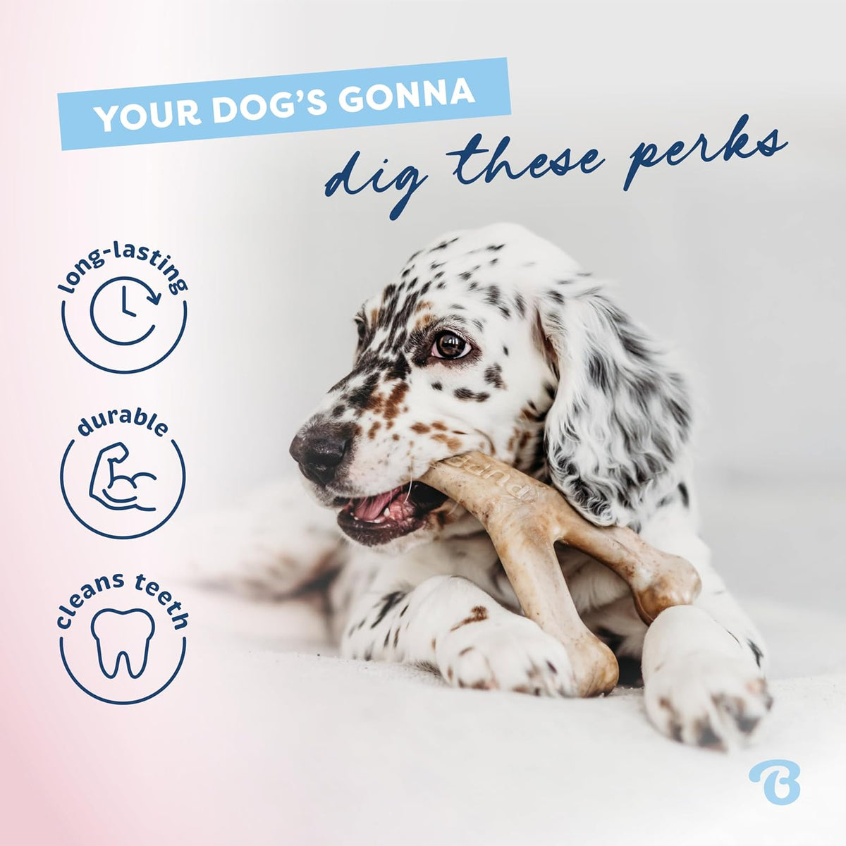 Benebone 4-Pack Durable Dog Chew Toys for Aggressive Chewers, Real Flavors, Made in USA, Medium - PuriLite