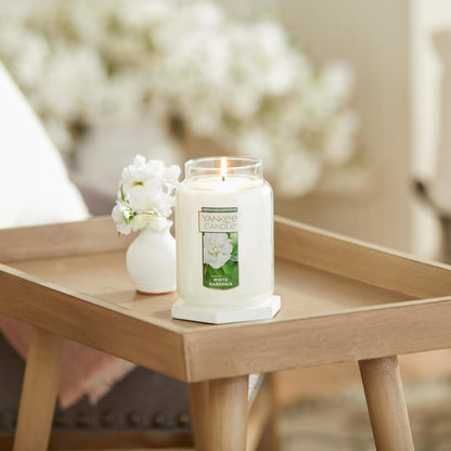 Yankee Candle Scented Candle, Sage & Citrus, Original Large Jar Candle, 110-150 Hours of Burn Time, 22 oz. - PuriLite