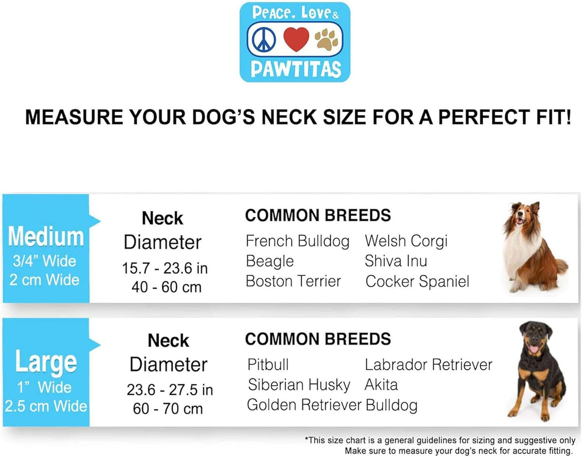 Pawtitas Chain Martingale Dog Collar Puppy Collar Reflective Dog Collar Training Dog Collar Behavioral Dog Chain Collar Collar Large Dog Collar Orange Dog Collar - PuriLite