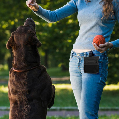 Dog Treat Waist Pouch, Dog Treat Bag Multiple Pockets Dog Treat Carrier Holder with Belt Clip for Puppy Dog Outdoor Walking Training Behavior Aids (Black) - PuriLite