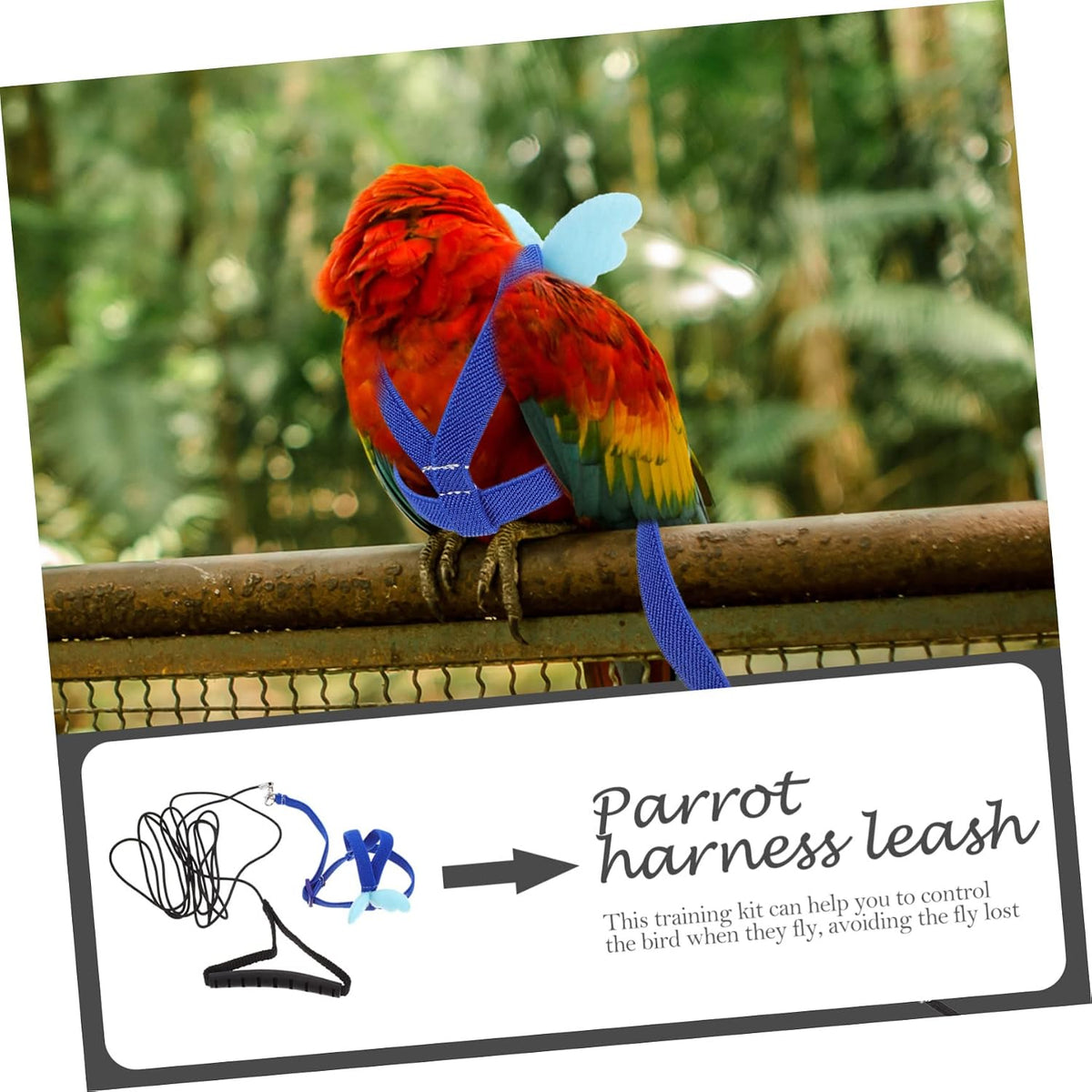 BESPORTBLE 4pcs Bird Training Rope Parrot Harness Leash for Pet Supply Training Harness Set for Small Birds