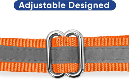Pawtitas Chain Martingale Dog Collar Puppy Collar Reflective Dog Collar Training Dog Collar Behavioral Dog Chain Collar Collar Large Dog Collar Orange Dog Collar - PuriLite
