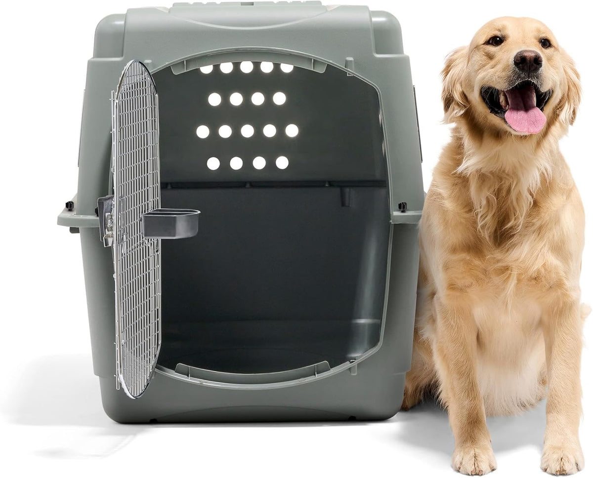 Petmate 00200 Sky Kennel for Pets from 25 to 30-Pound, Light Gray - PuriLite