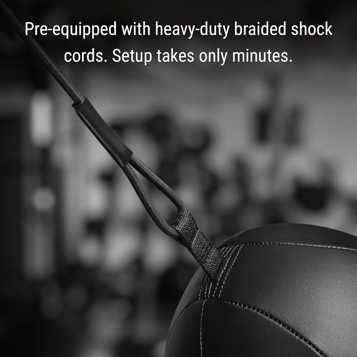 Hayabusa Classic Sphere Double Ended Bag - Black, 12 Inches - PuriLite