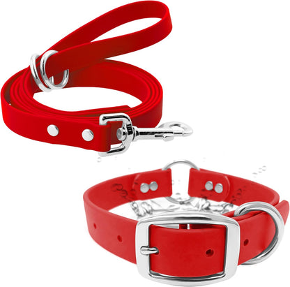 Regal Dog Products Small Orange Waterproof Dog Collar and Leash Set - Vinyl Coated, Biothane Puppy Pet Training Collar with Heavy Duty Center Ring & 5'ft Leash - Other Sizes for Medium & Large Dogs - PuriLite