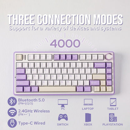 EPOMAKER x Aula F75 Gasket Mechanical Keyboard, 75% Wireless Hot Swappable Gaming Keyboard with Five-Layer Padding&Knob, Bluetooth/2.4GHz/USB-C, RGB (Black Gradient, LEOBOG Reaper Switch) - PuriLite